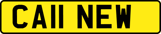 CA11NEW