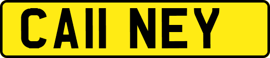 CA11NEY