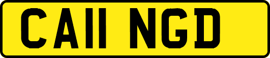 CA11NGD