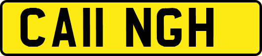 CA11NGH