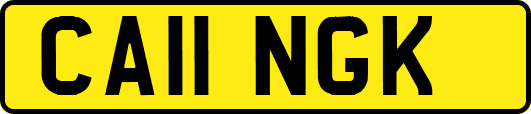 CA11NGK