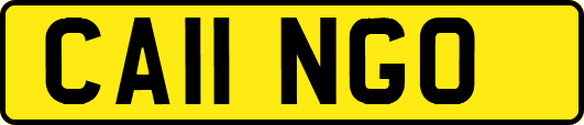CA11NGO
