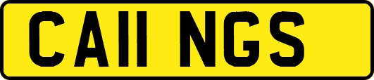 CA11NGS