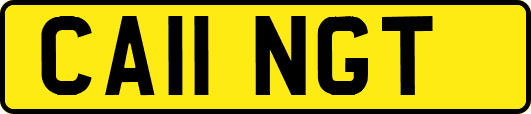 CA11NGT