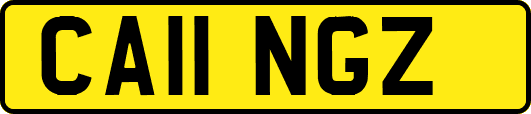 CA11NGZ