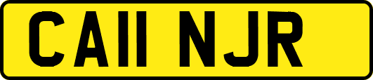 CA11NJR