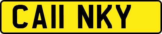 CA11NKY