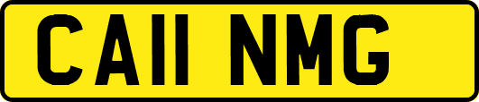 CA11NMG