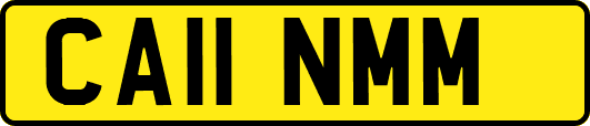 CA11NMM