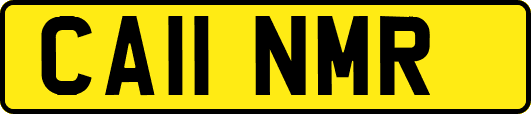 CA11NMR
