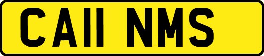 CA11NMS