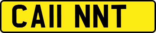CA11NNT