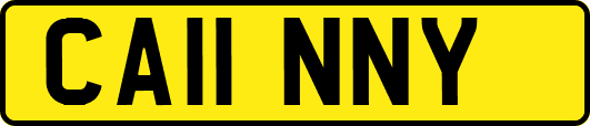 CA11NNY