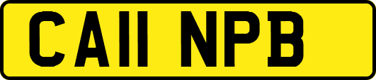 CA11NPB