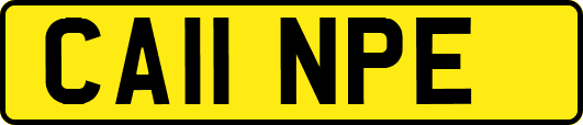 CA11NPE