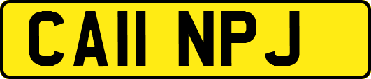 CA11NPJ