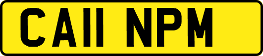 CA11NPM