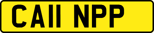 CA11NPP