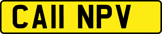 CA11NPV