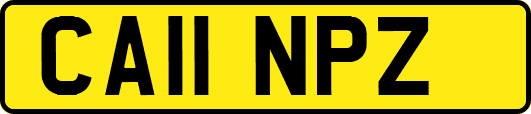CA11NPZ