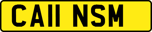 CA11NSM