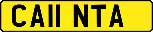 CA11NTA