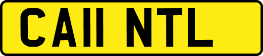CA11NTL