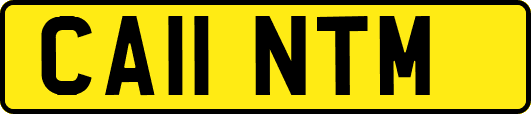 CA11NTM