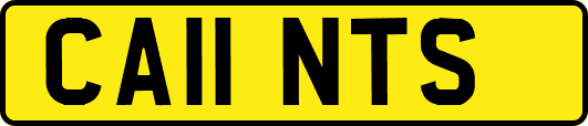 CA11NTS