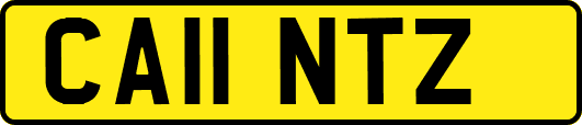 CA11NTZ