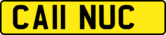 CA11NUC