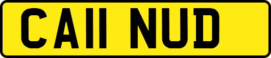 CA11NUD