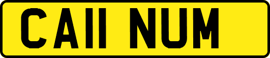 CA11NUM