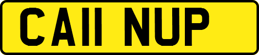 CA11NUP