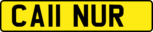 CA11NUR