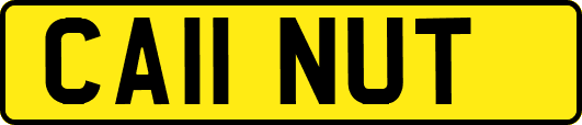 CA11NUT