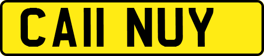 CA11NUY