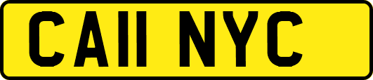 CA11NYC