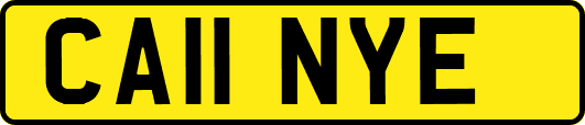 CA11NYE