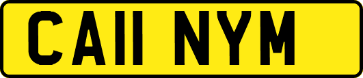 CA11NYM