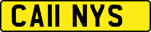 CA11NYS