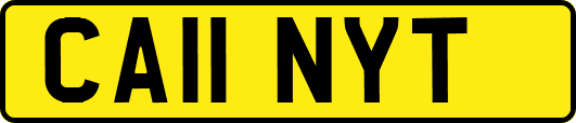 CA11NYT