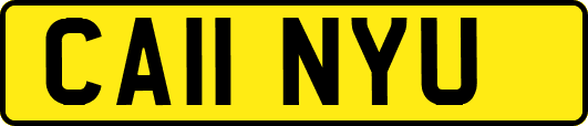 CA11NYU