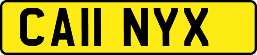 CA11NYX