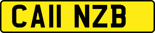 CA11NZB