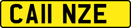 CA11NZE