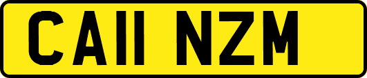 CA11NZM