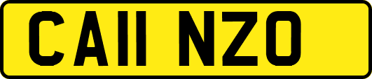 CA11NZO