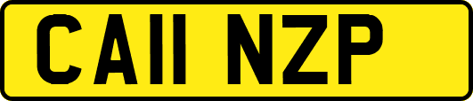 CA11NZP