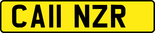CA11NZR